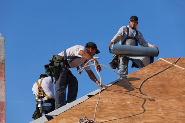Best Emergency Roof Repair  in Blue Earth, MN